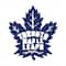 Camelot® Dots NHL Toronto Maple Leafs Diamond Painting Kit